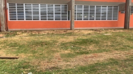 1 (5)